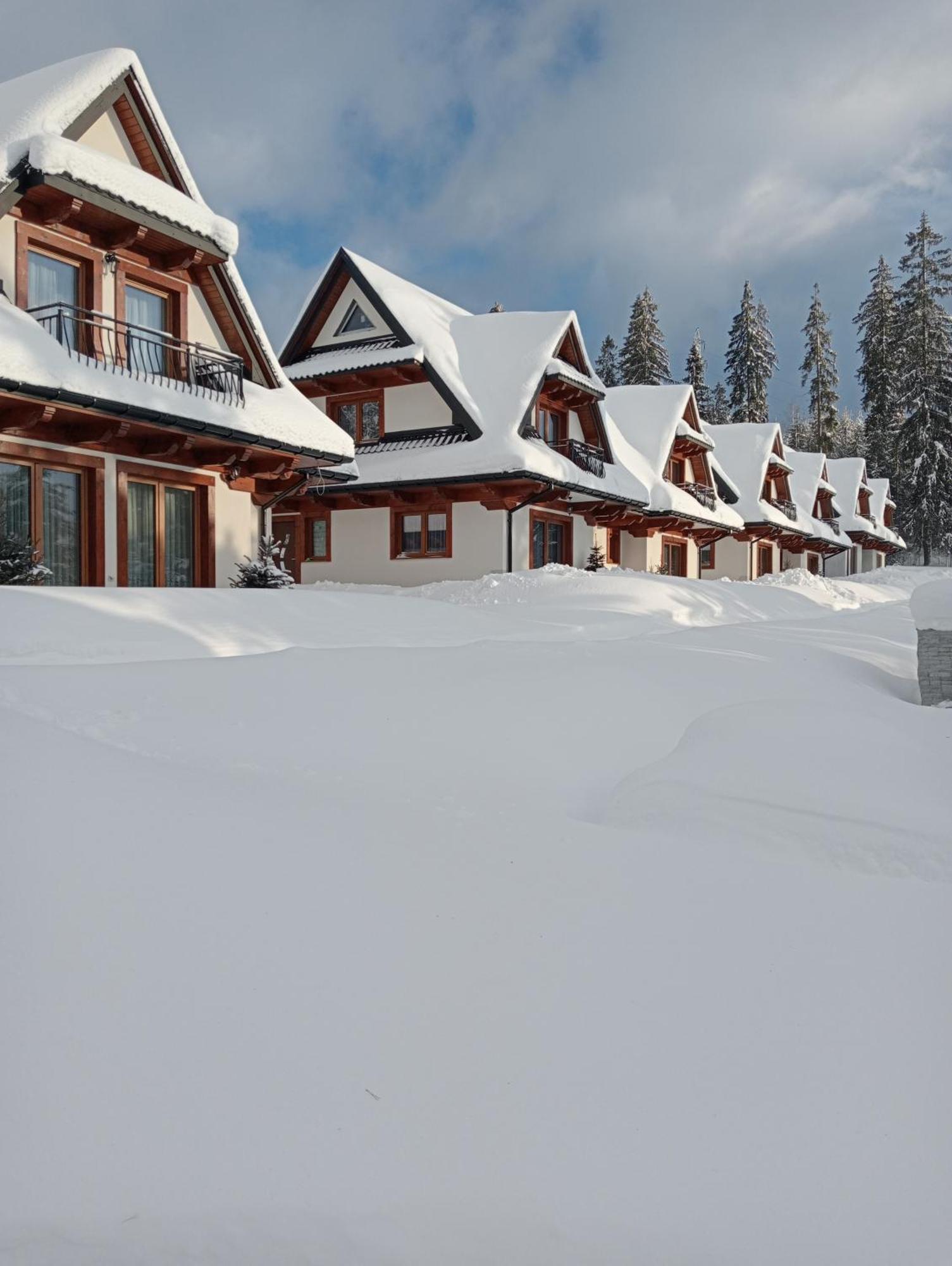 Domki Pod Lasem Podhale Zakopane Exterior photo